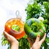 Kawaii Doughnut Water Bottle, PP Plastic Heat-resistant Water Cup Suitable For Adults And Children Daily Carrying And Outdoor Hiking Camping Trips - T